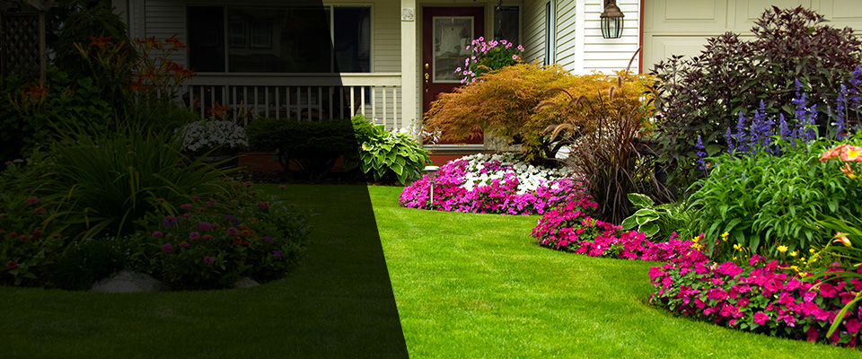 Elyria Landscapers