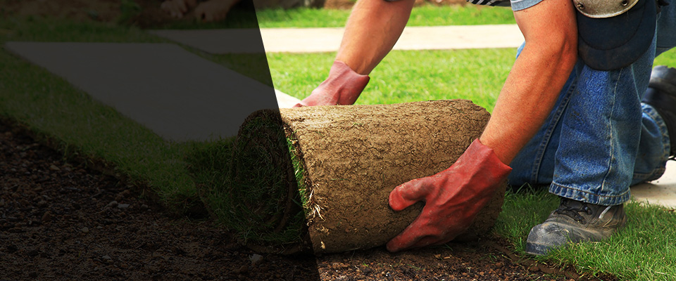 Elyria Landscapers